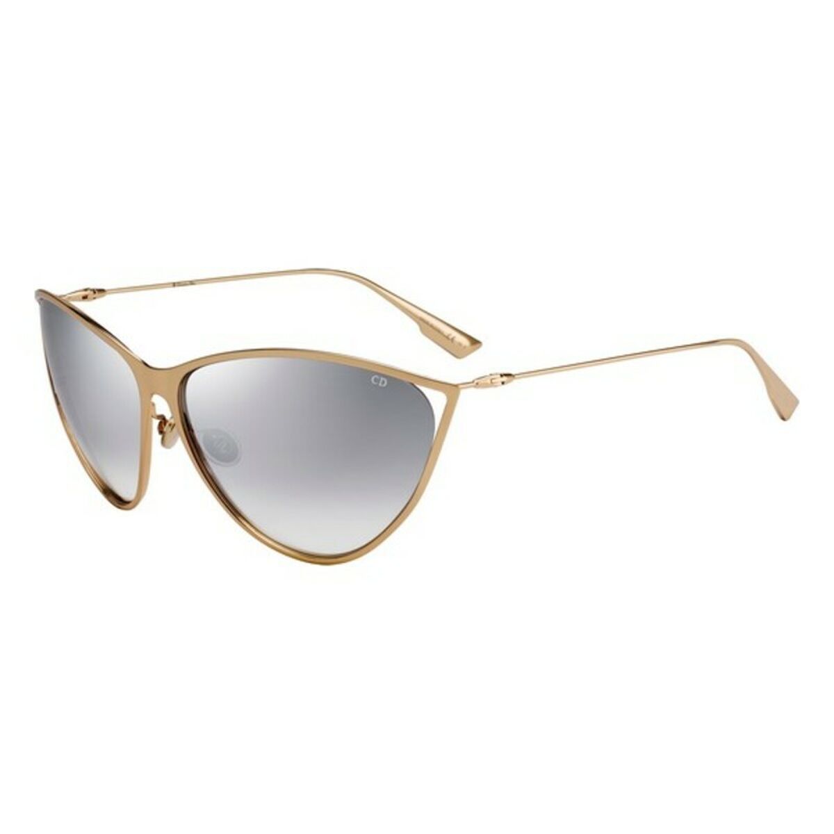 Ladies' Sunglasses Dior NEWMOTARD-000 Dior