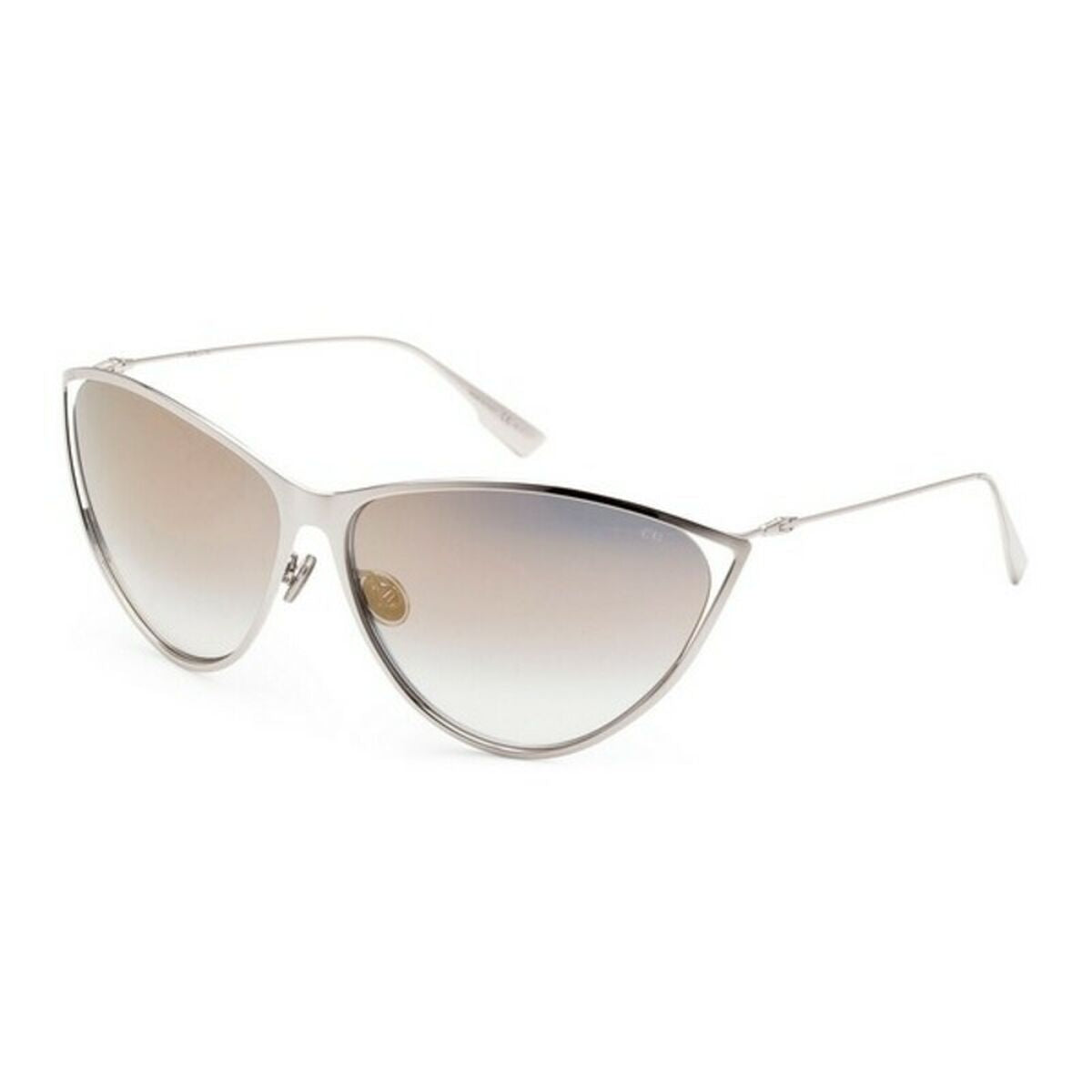 Ladies' Sunglasses Dior NEWMOTARD-010 Dior