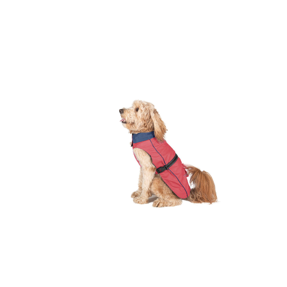 Dog raincoat Dog Gone Smart Coral 35 cm Dog Gone Smart