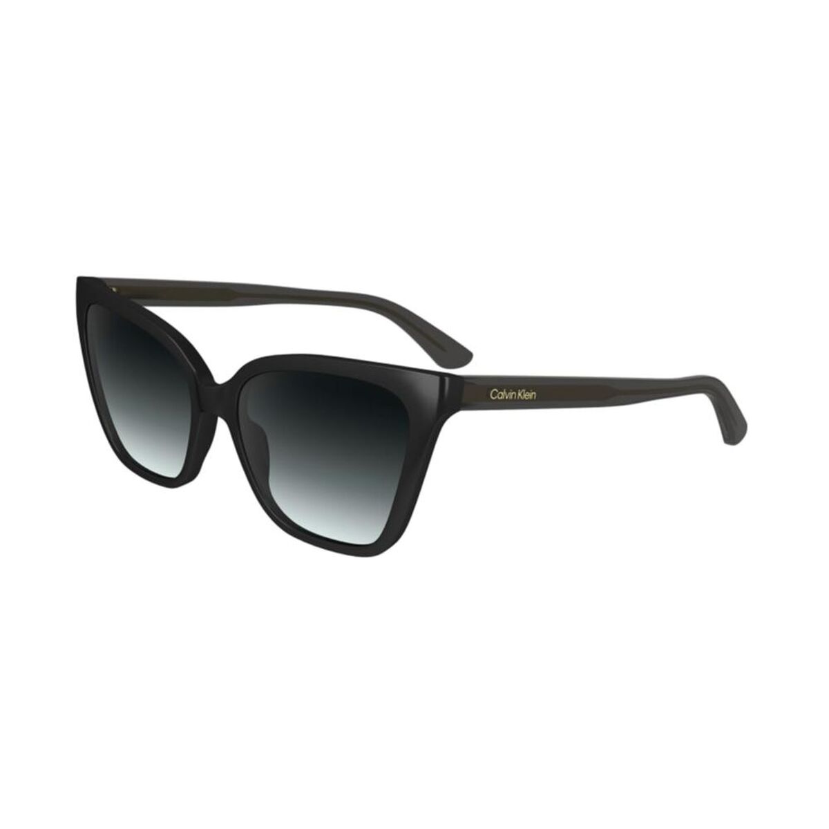 Ladies' Sunglasses Calvin Klein CK24507S Calvin Klein