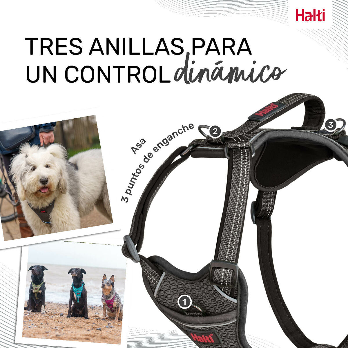 Dog Harness Company of Animals Grey S 28-42 cm Company of Animals