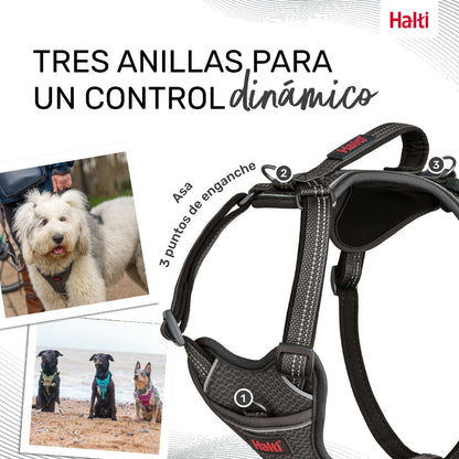 Dog Harness Company of Animals Grey L 42-65 cm Company of Animals