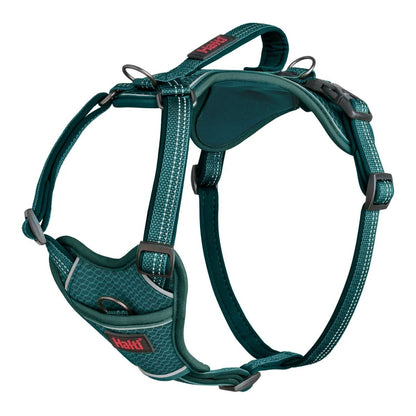 Dog Harness Company of Animals Turquoise XS 20-32 cm Company of Animals