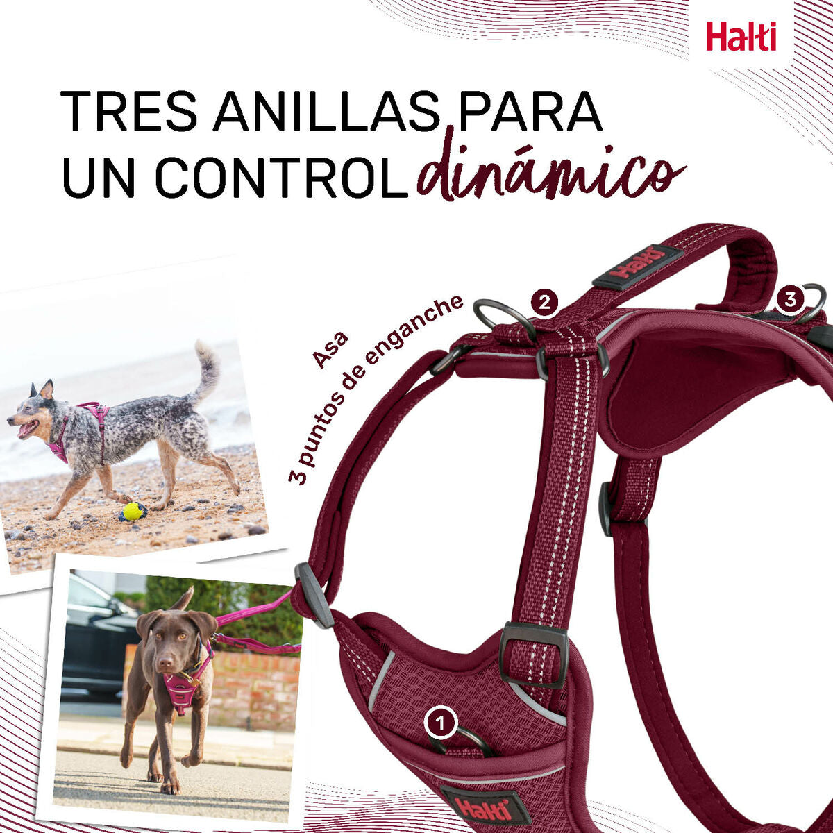 Dog Harness Company of Animals Burgundy L 42-65 cm Company of Animals