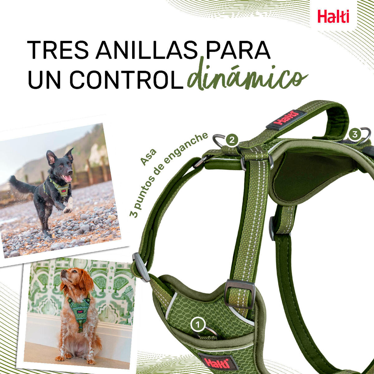 Dog Harness Company of Animals Green S 28-42 cm Company of Animals