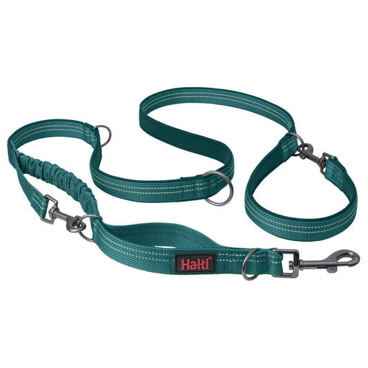 Dog Lead Company of Animals Turquoise S Company of Animals