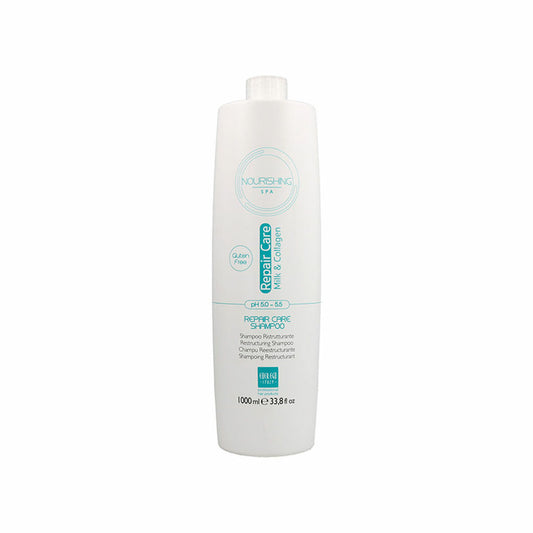 Shampoo Everego EverEgoCurlCareSham33.8/FL Everego