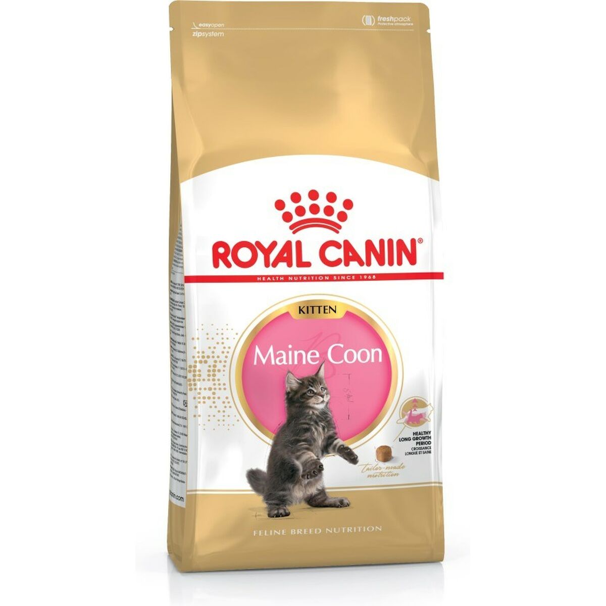 Cat food Royal Canin Maine Coon Kitten Chicken Rice Birds 4 Kg Royal Canin