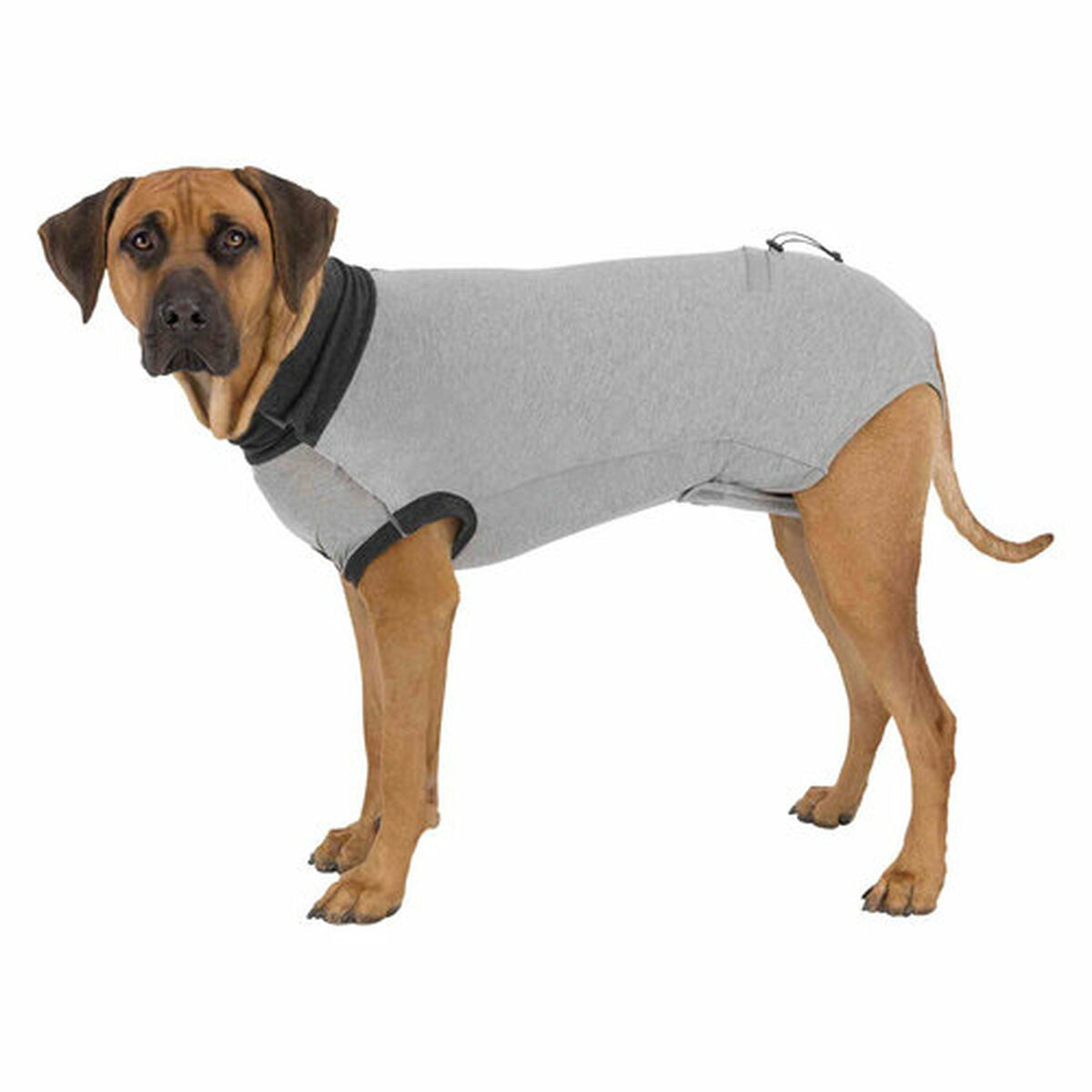 Body protector for dogs Trixie Trixie