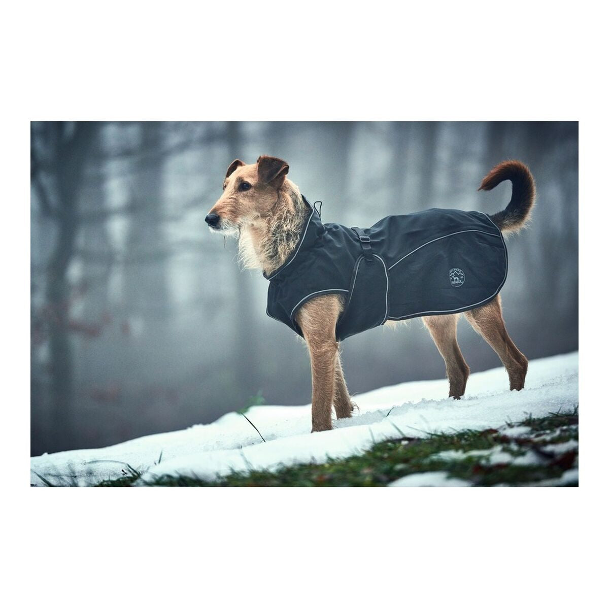 Dog Coat Norton 360 Uppsala Black 40 cm Norton 360