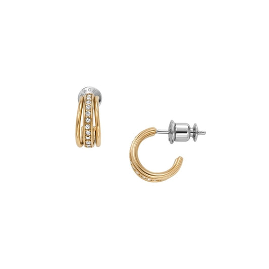 Ladies' Earrings Skagen SKJ1610710