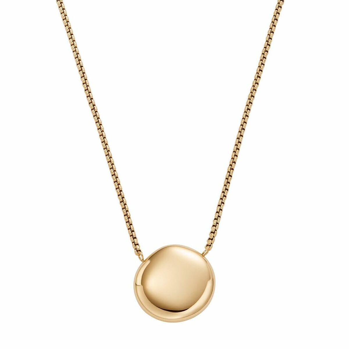 Ladies' Necklace Skagen SKJ1774710 Skagen