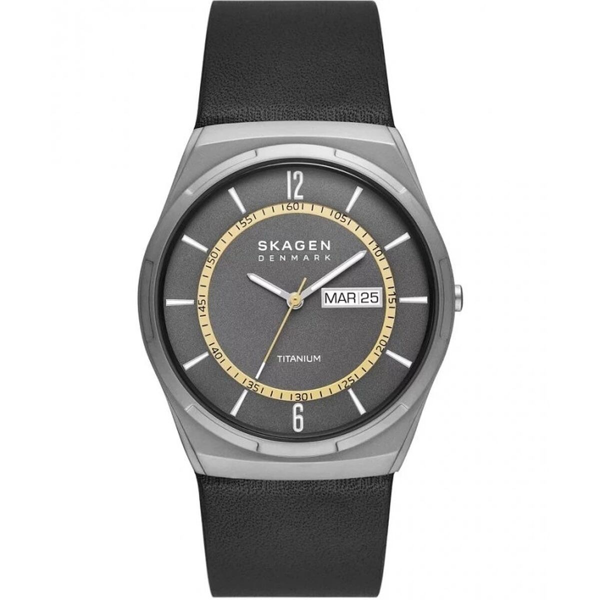 Men's Watch Skagen MELBYE TITANIUM (Ø 43 mm) Skagen