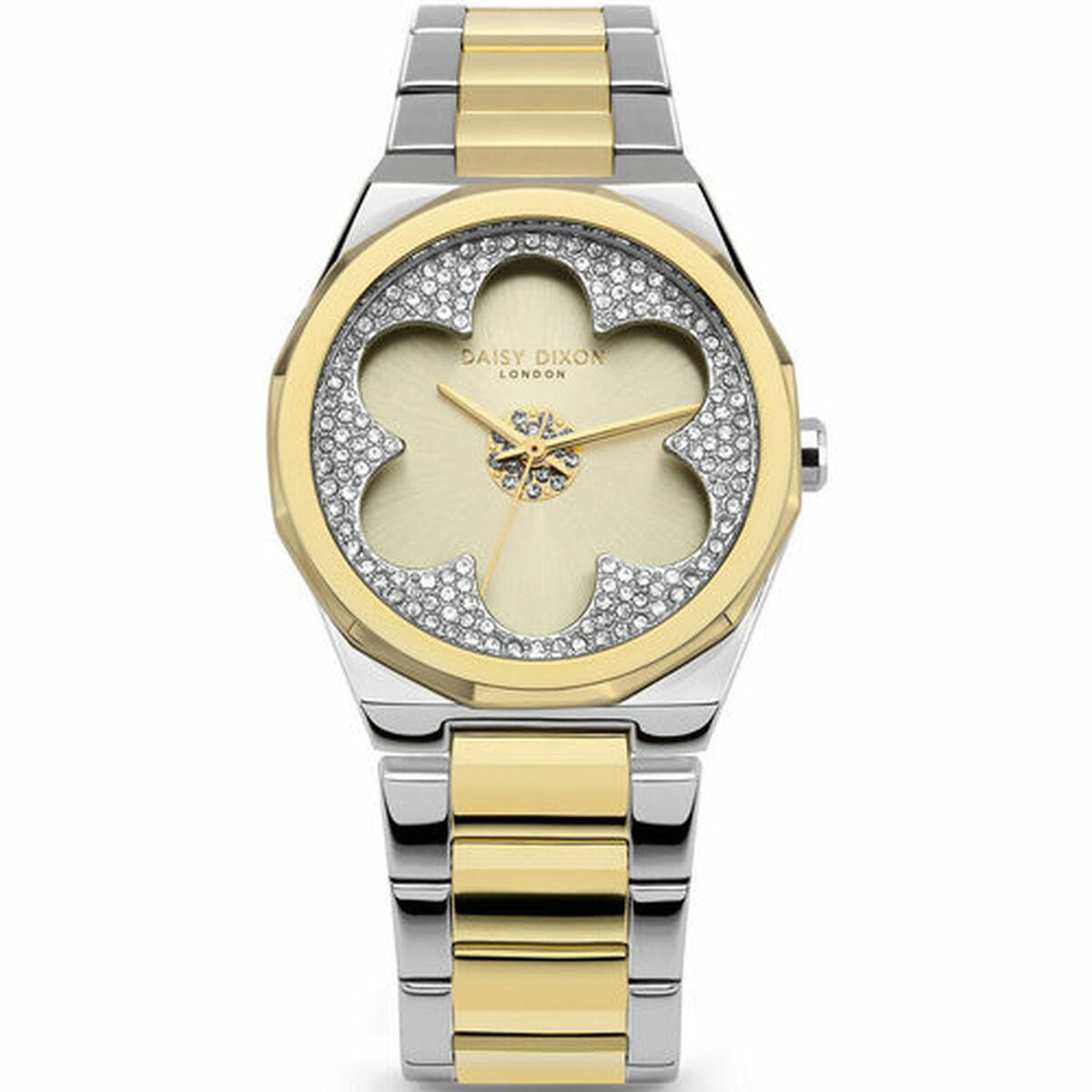 Ladies' Watch Daisy Dixon DD168SGM (Ø 36 mm) Daisy Dixon