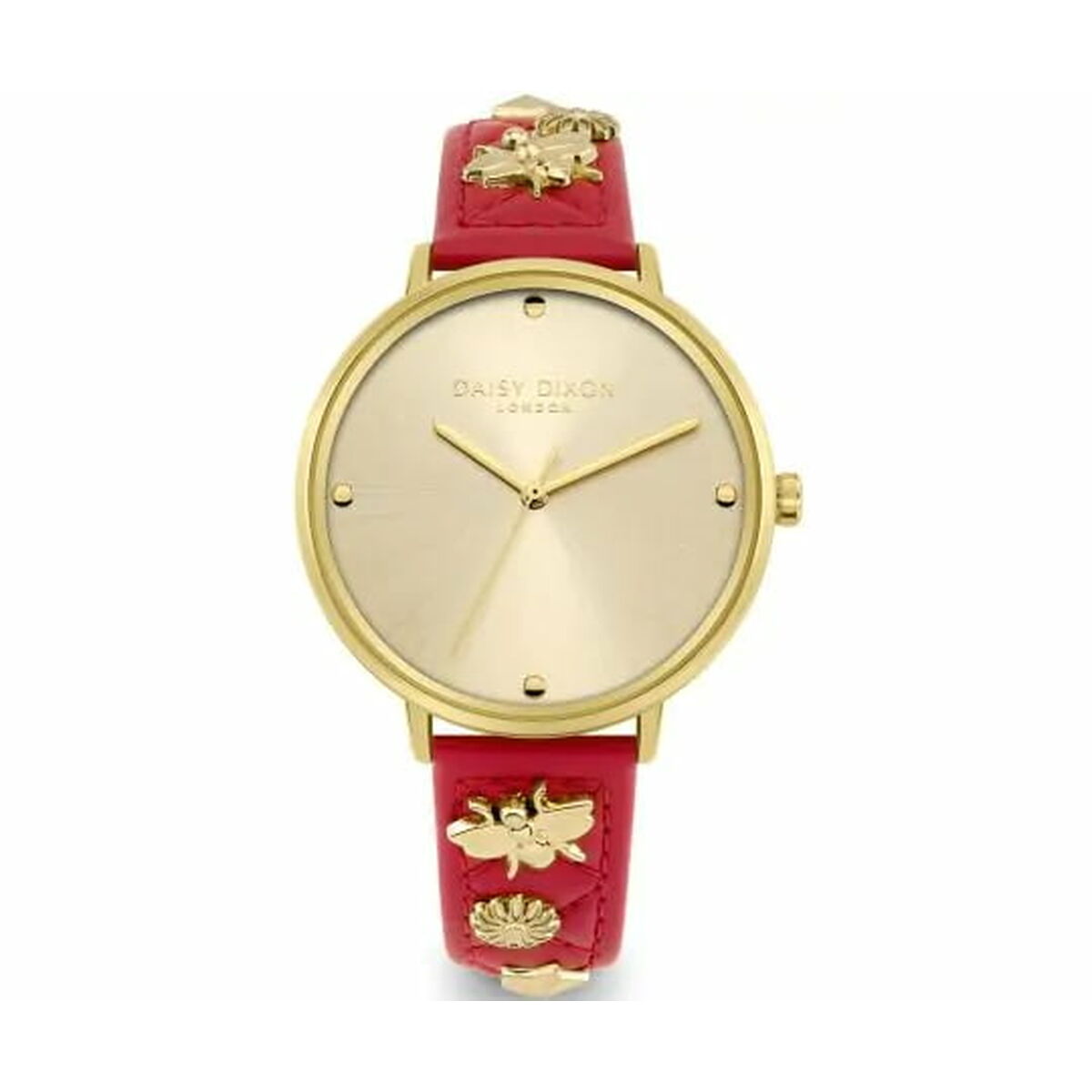 Ladies' Watch Daisy Dixon DD133PG (Ø 38 mm) Daisy Dixon