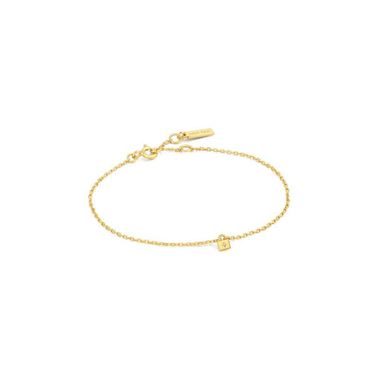 Ladies' Bracelet Ania Haie B032-02G 19 cm Ania Haie