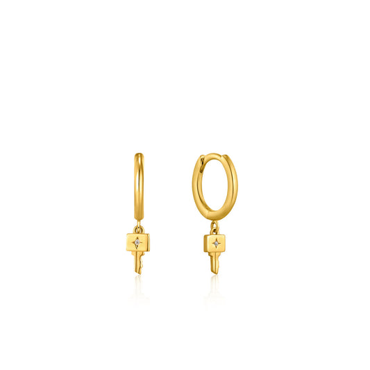 Ladies' Earrings Ania Haie E032-04G 0,5 cm Ania Haie