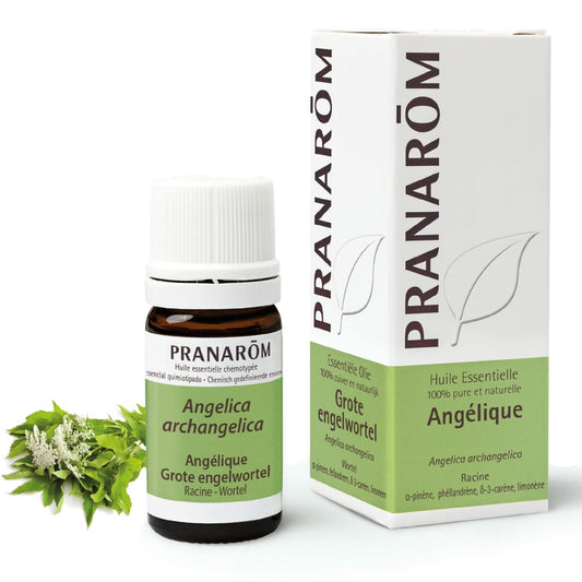 Fragrance oil Pranarôm Pranarôm