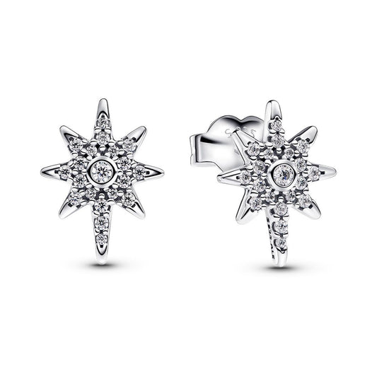 Ladies' Earrings Pandora 293587C01 Silver