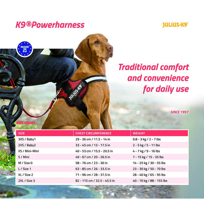 Dog Harness Julius K9 Power Black L/XL 2 Julius K9