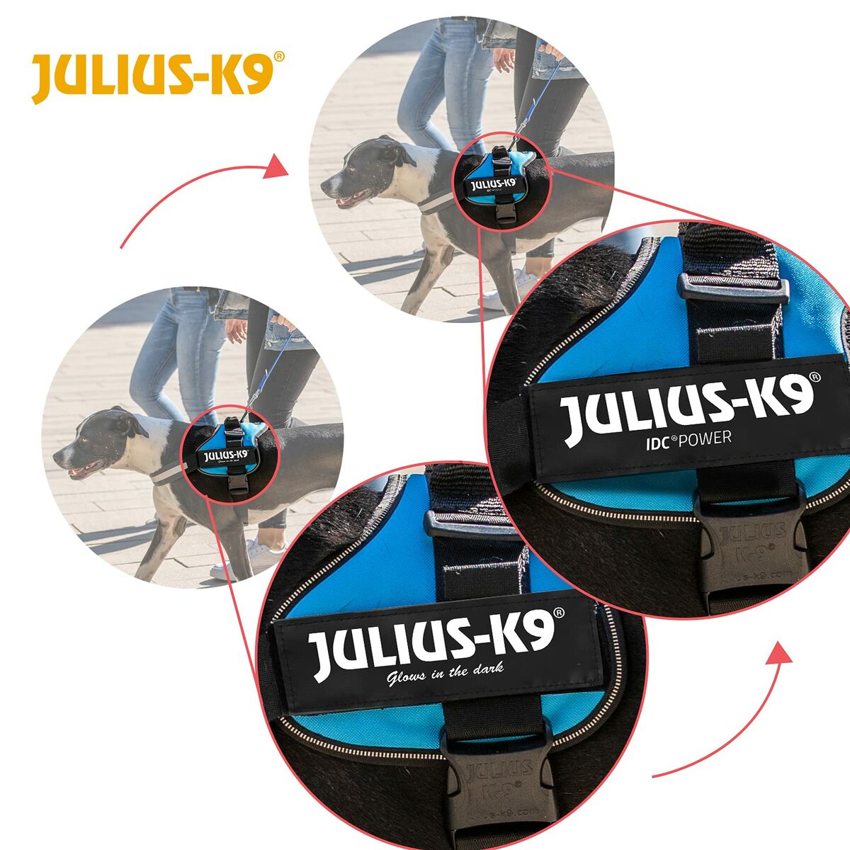 Dog Harness Julius K9 Power Black L/XL 2 Julius K9