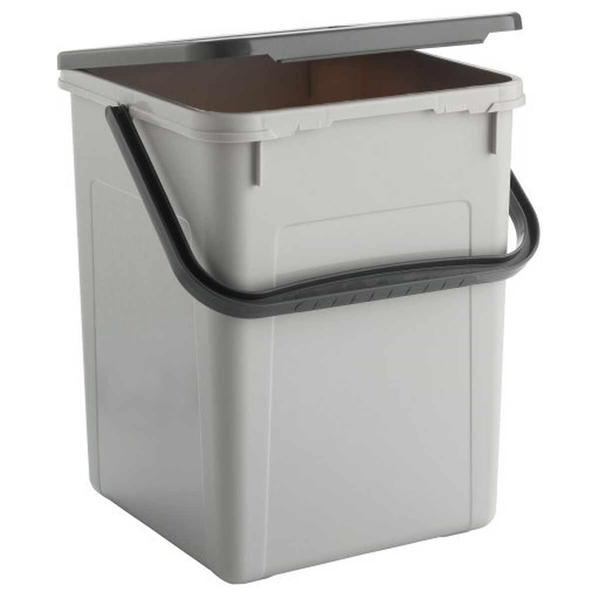 Container Rotho Basic Grey 9 L Rotho