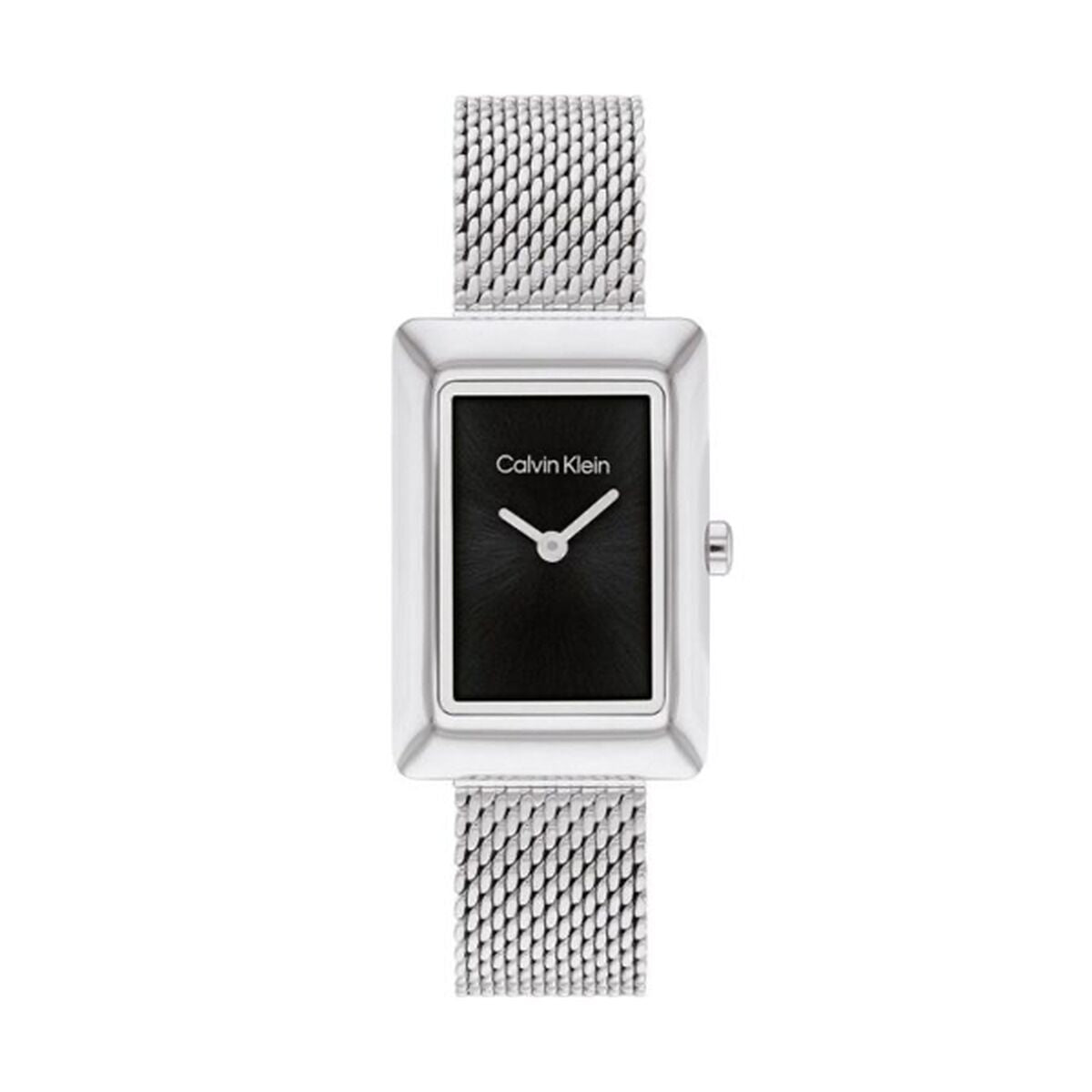 Ladies' Watch Calvin Klein 2520039 Calvin Klein