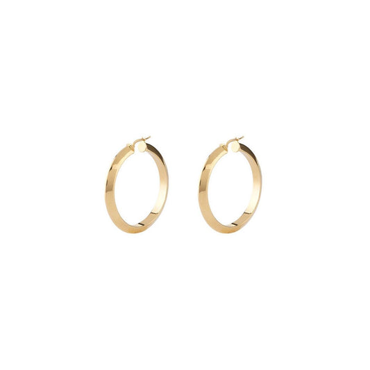 Ladie's Earrings Guess JUBE04194JWYGT-U Guess