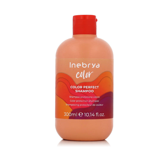 Shampoo Inebrya Ice Cream Pro-Color 300 ml Inebrya