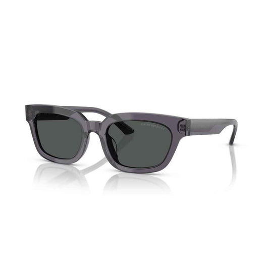 Ladies' Sunglasses Emporio Armani EA 4233U