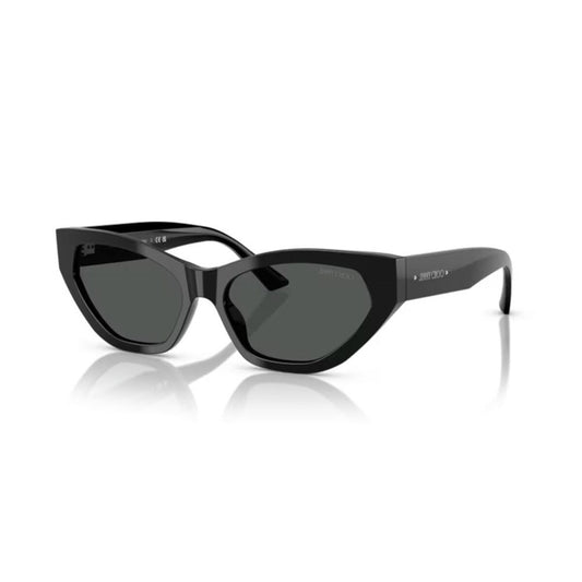 Ladies' Sunglasses Jimmy Choo JC 5022B Jimmy Choo