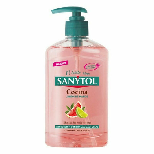 Hand Soap Dispenser Sanytol 280120 Kitchen 250 ml Sanytol