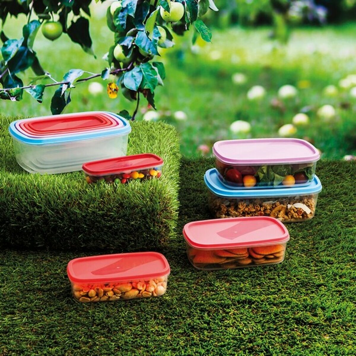 Set of 5 lunch boxes Quid Habitat Plastic Quid