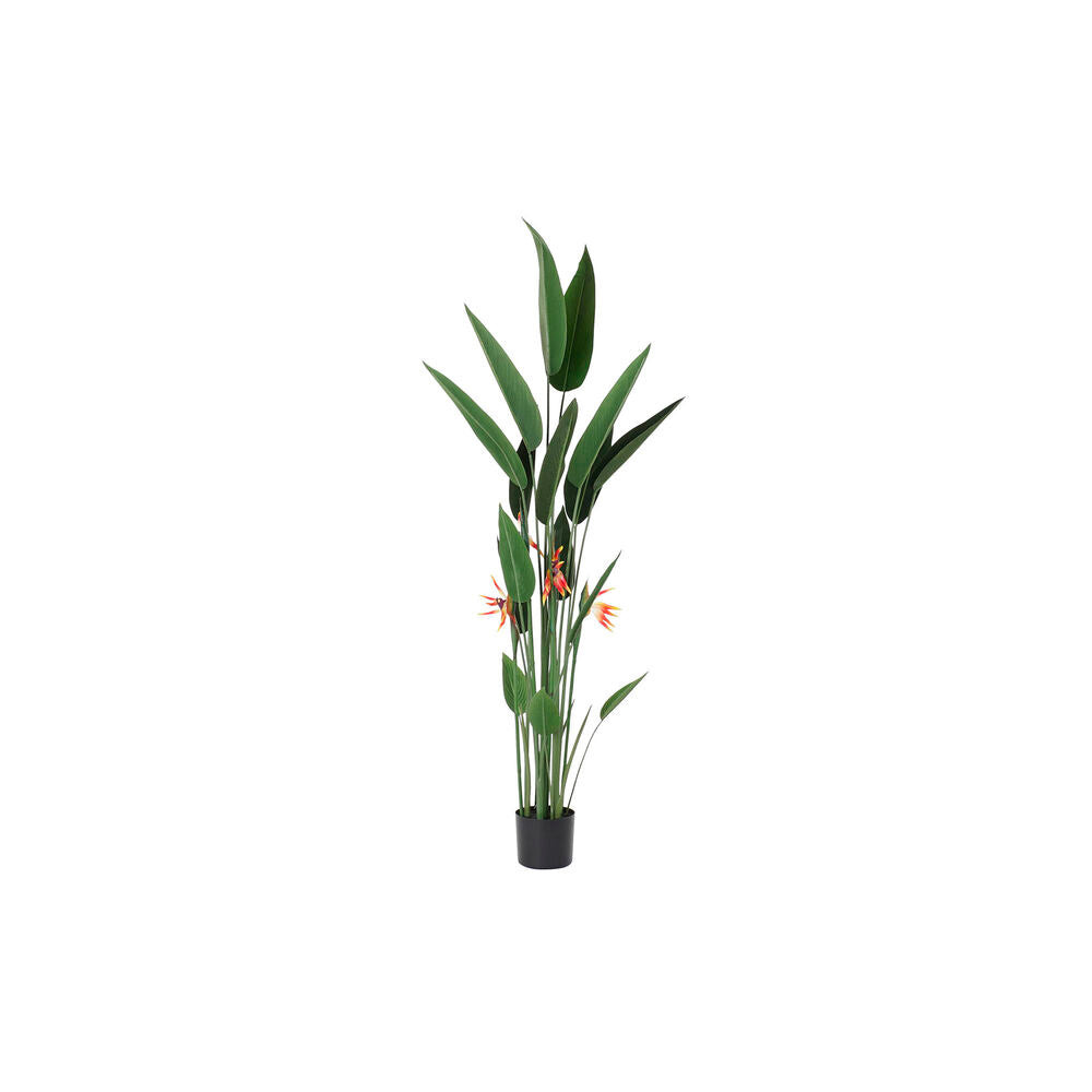 Decorative Plant DKD Home Decor 75 x 75 x 180 cm Orange Green Yellow polypropylene Bird of paradise DKD Home Decor