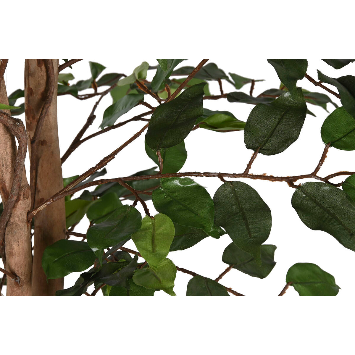 Tree Home ESPRIT Polyethylene Fig Tree 100 x 100 x 210 cm Home ESPRIT