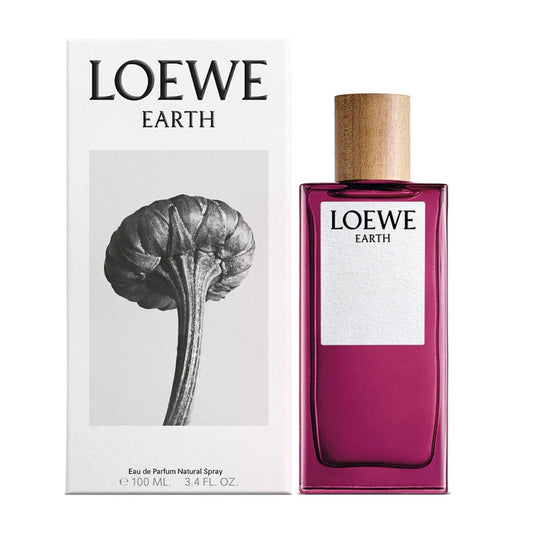 Men's Perfume Loewe EDP 100 ml Loewe