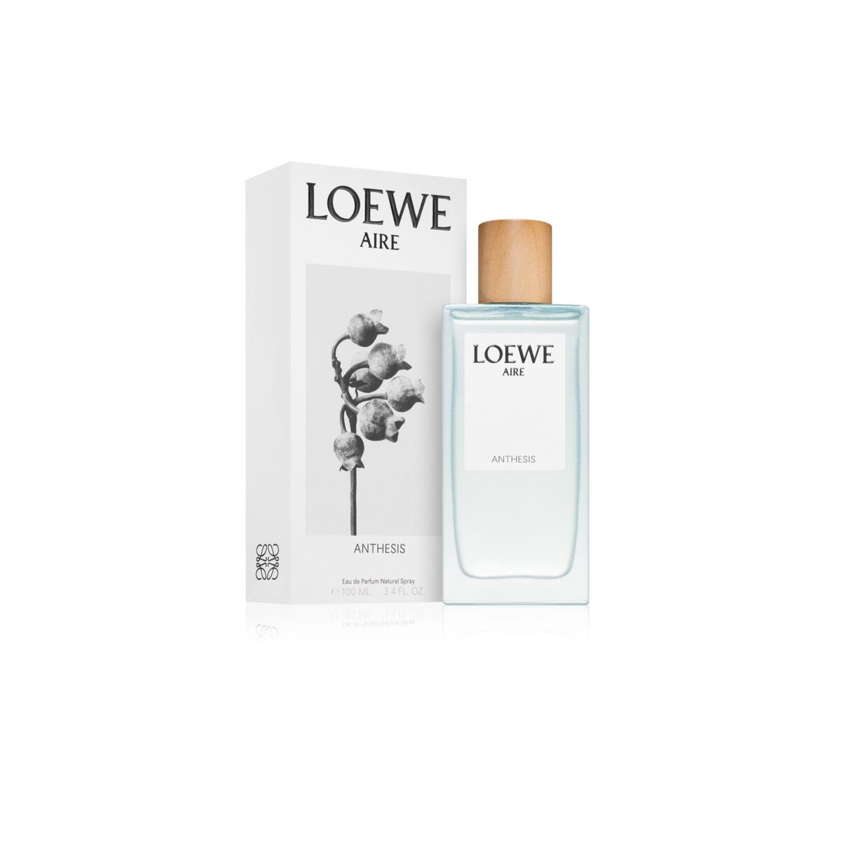 Women's Perfume Loewe Aire Anthesis EDP Loewe