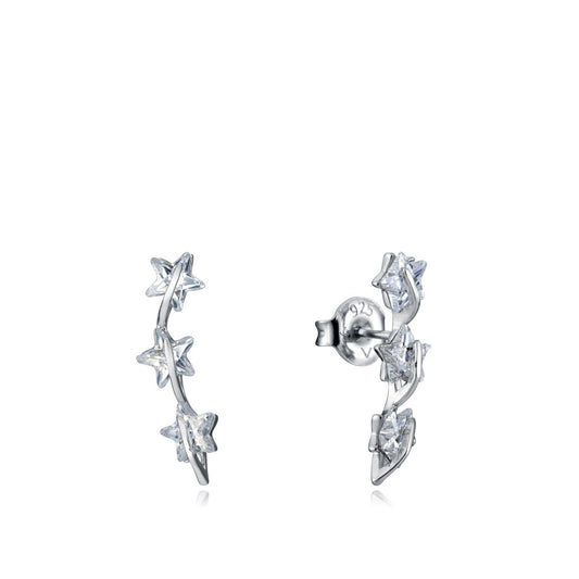 Ladies' Earrings Viceroy 13003E000-30 Viceroy