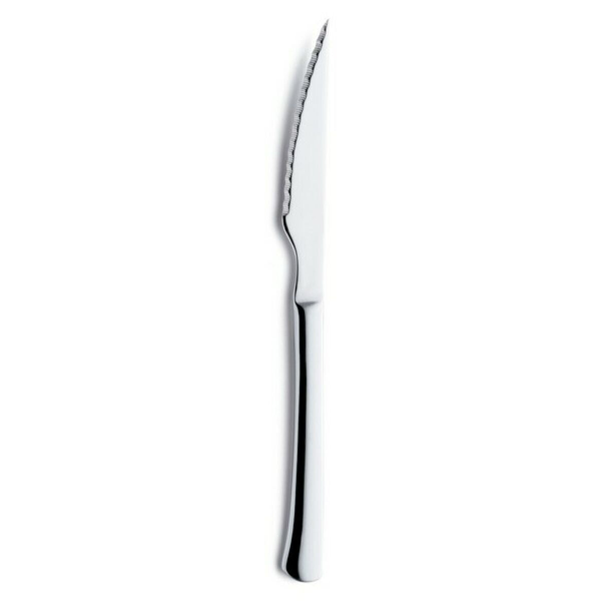 Serrated Knife Amefa 2257 Metal 25 cm (12 Units) Amefa