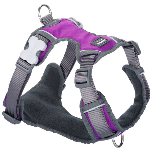 Dog Harness Red Dingo Dingo 62-108 cm 72-112 cm Purple XL Red Dingo