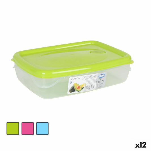 Hermetic Lunch Box Dem Rectangular 29,5 x 21,5 x 7,5 cm (12 Units) Dem