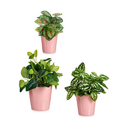 Set of pots Ibergarden LINCE PQ - 3015 Pink Clay (6 Units) Ibergarden