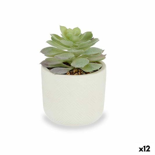 Decorative Plant Succulent Plastic 14 x 13,5 x 14 cm (12 Units) Ibergarden