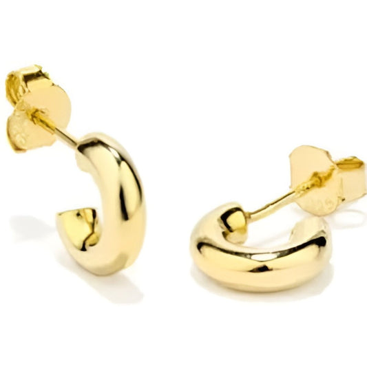 Ladies' Earrings Radiant RY000224 Metal Radiant