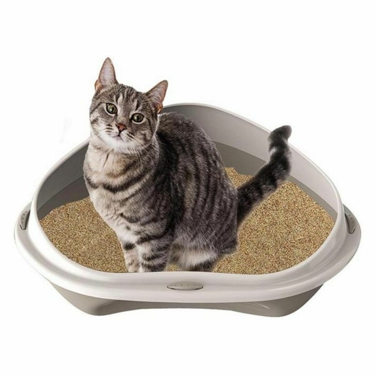 Cat Litter Box Georplast GP10536 58 x 48 x 20,5 cm (8 Units) Georplast